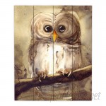 DiaNocheDesigns Redbird Cottage Owl by Dawn Derman Painting Print Plaque DNOC1145
