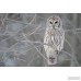 East Urban Home 'Barred Owl on Branches' Photographic Print ESRB6954