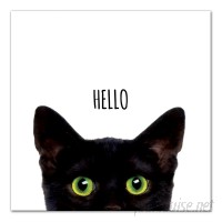 East Urban Home 'Curious Hello Black Cat' Graphic Art Print on Canvas ESUM1252