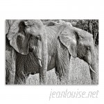 East Urban Home 'Silver Elephant' Photographic Print HACO3034