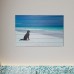 Gallery 57 Dog at the Beach Photographic Print GAFS1027