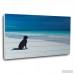 Gallery 57 Dog at the Beach Photographic Print GAFS1027