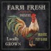 Laurel Foundry Modern Farmhouse 'Farm Fresh Rooster' by Jean Plout Graphic Art on Wrapped Canvas LFMF2507