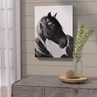 Laurel Foundry Modern Farmhouse 'Wild Horses 2' Photographic Print LRFY8400