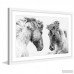 Marmont Hill 'Horse Pair' Framed Photographic Print on Paper MAAX5038