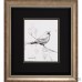 Three Posts Song Bird III / IV 2 Piece Framed Painting Print Set THPS2262