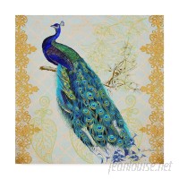 World Menagerie 'Beautiful Peacock' Acrylic Painting Print on Wrapped Canvas WRMG5854