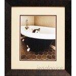 Artistic Reflections Kitty III by Dratfield, Jim Framed Photographic Print AETI1676
