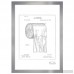 Trent Austin Design 'Toilet Paper Roll 1891' Framed Drawing Print TADN9220
