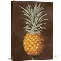 Global Gallery 'Pineapple' by George Brookshaw Painting Print on Wrapped Canvas VHY9284