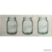 Great Big Canvas 'Flea Market Mason Jars I' Graphic Art Print GRWO1949