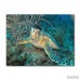 Bay Isle Home 'Turtle' Photographic Print on Canvas BYIL3778