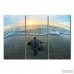 Beachcrest Home 'Turtle' Framed 3 Piece Photo Graphic Print Set on Canvas BCHH4527