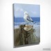 Highland Dunes 'Keeping Watch I' Oil Painting Print on Wrapped Canvas HIDN5063