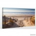 PicturePerfectInternational 'Path to Ocean' Photographic Print on Wrapped Canvas FCAC4908