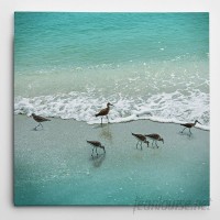 WexfordHome 'Sandpiper Beach Party' by Nan Photographic Print on Wrapped Canvas WEXF1503